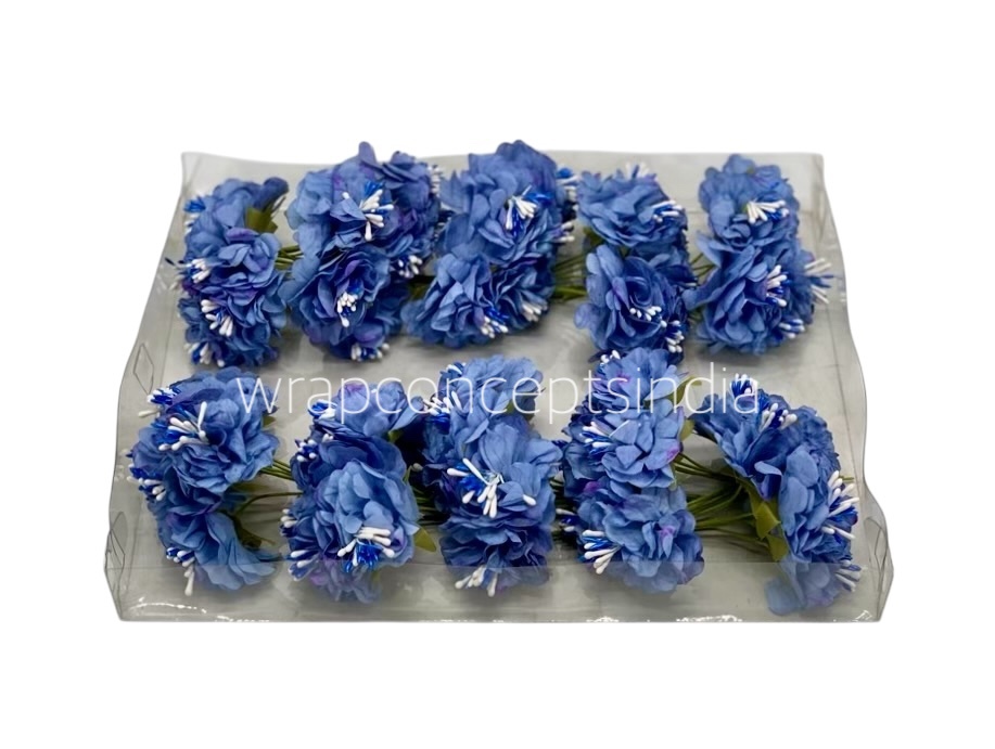 Cornflower Blue Windflower Cornflower Blue Windflower