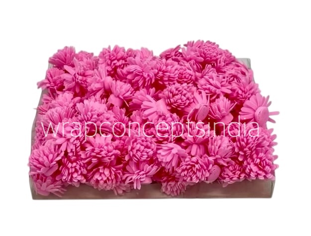 Pink Foam Carnation Pink Foam Carnation