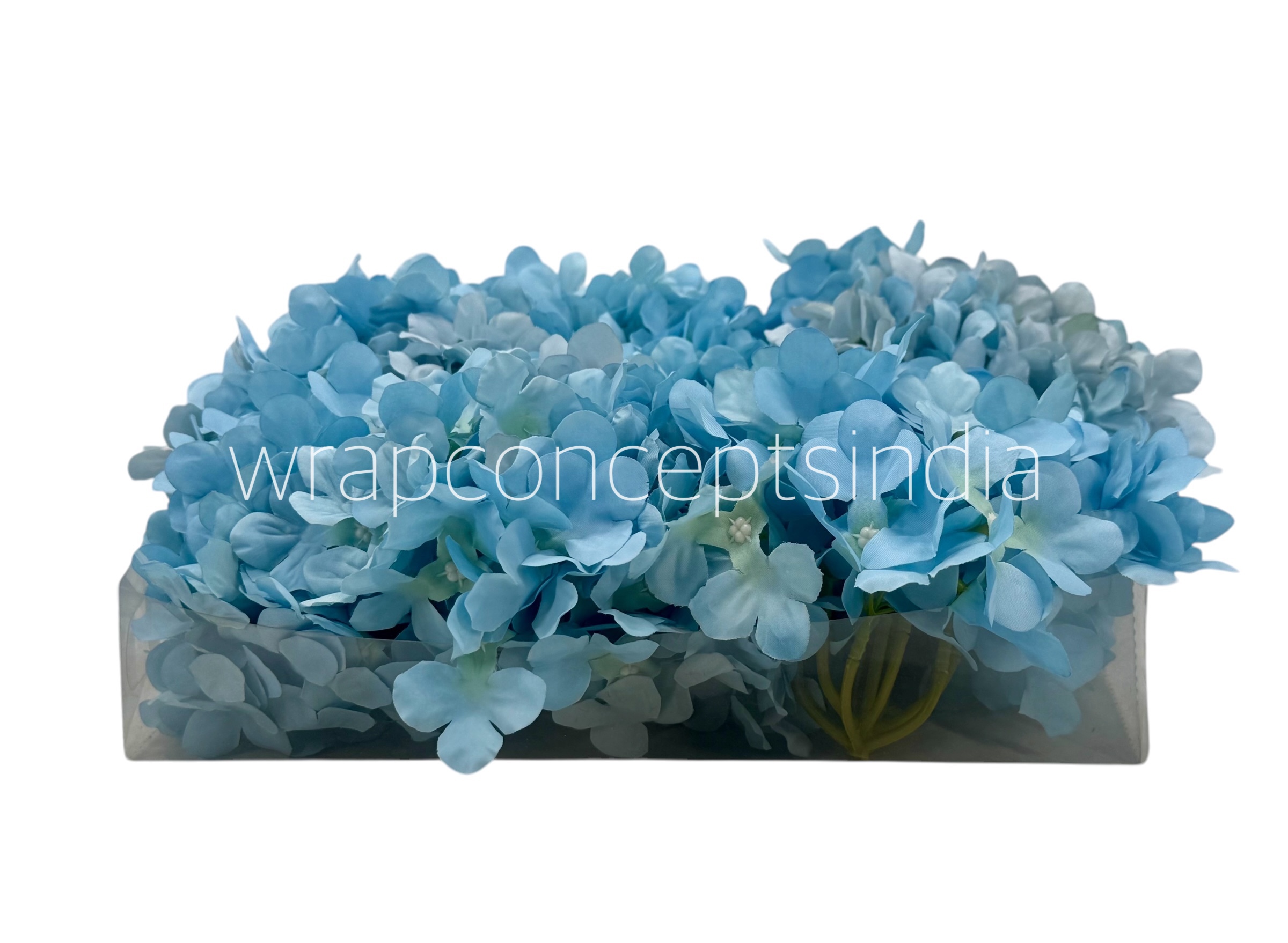 Sky Hydrangeas Sky Hydrangeas