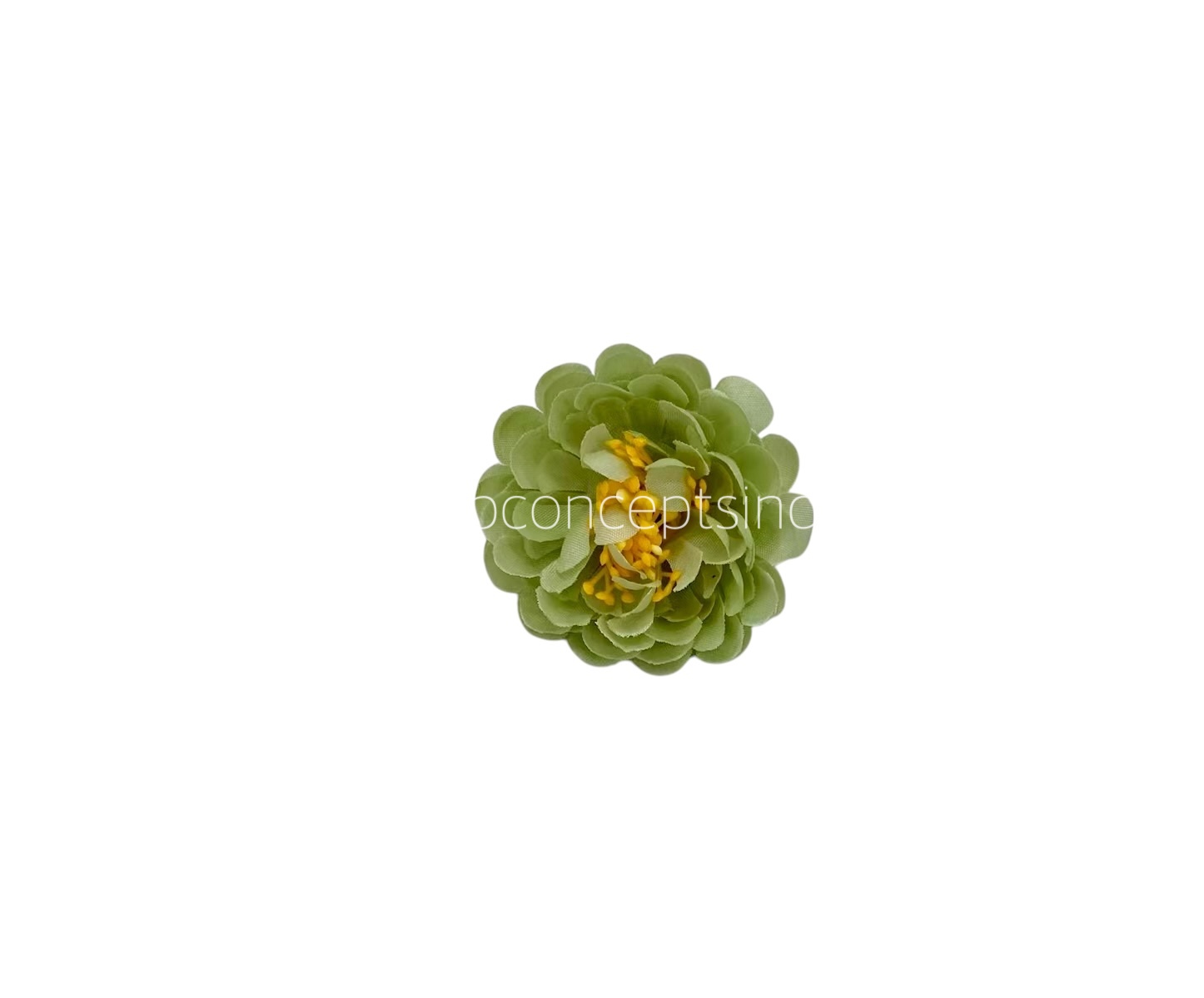 Pistachio Small Dahlia