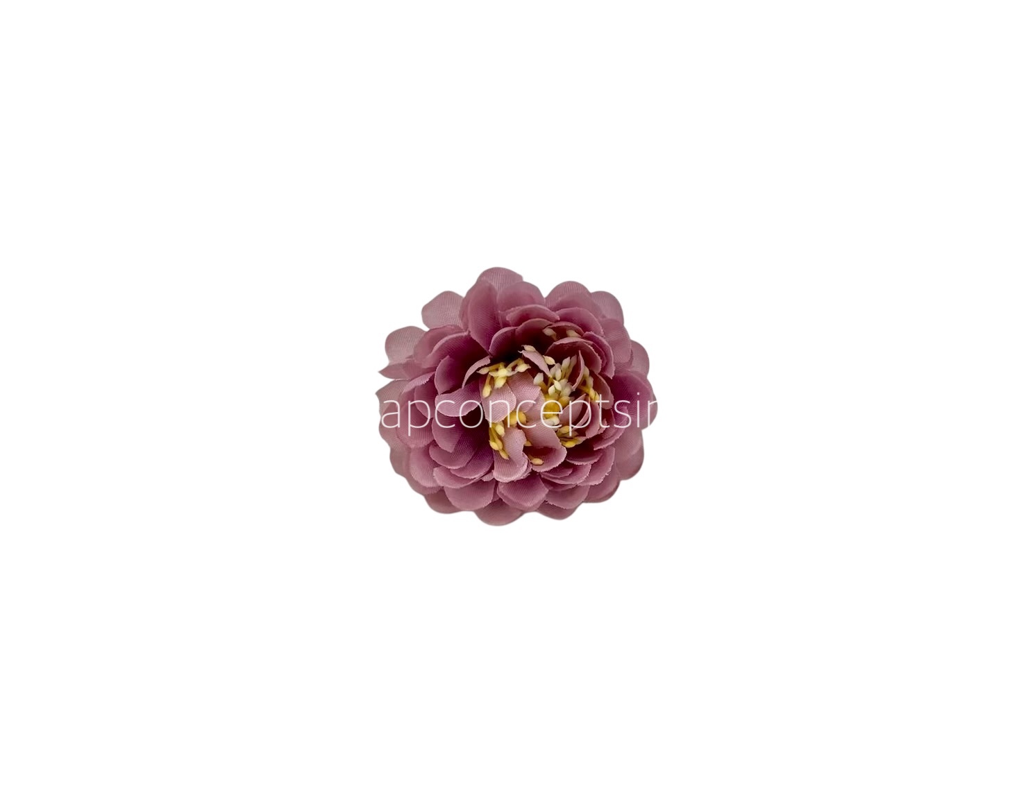 Dusky Mauve Small Dahlias