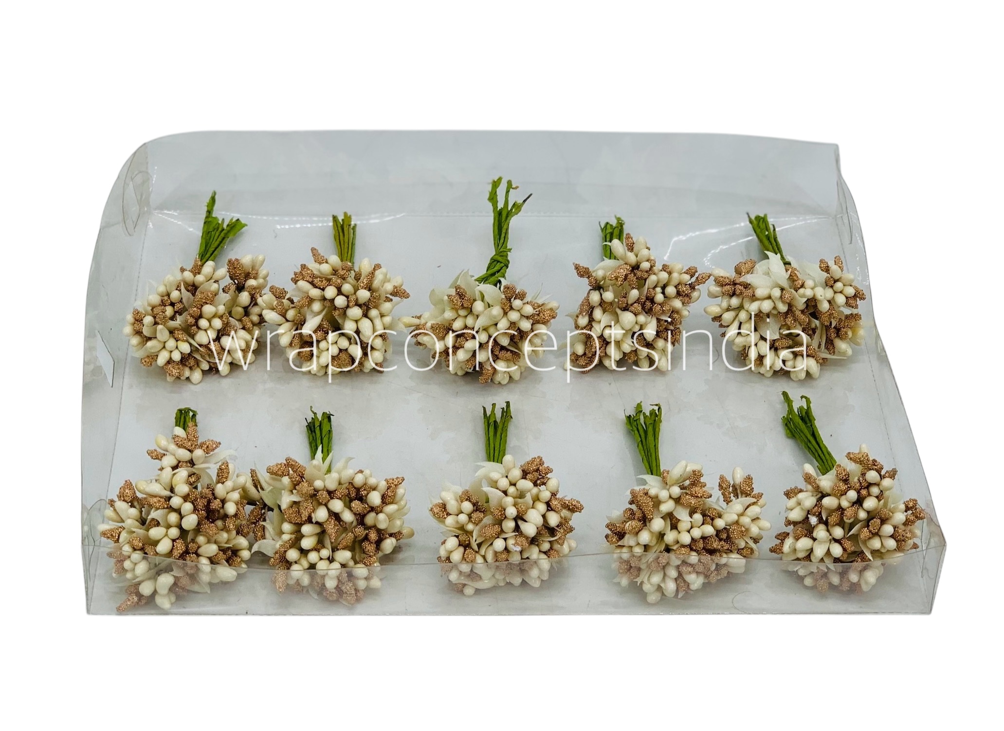 Dual Tone Pollens - Cream & Gold