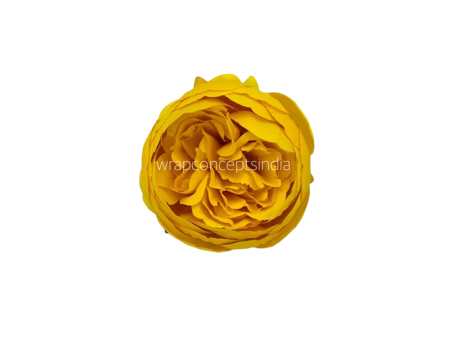 Peony - Mango Yellow Peony - Mango Yellow