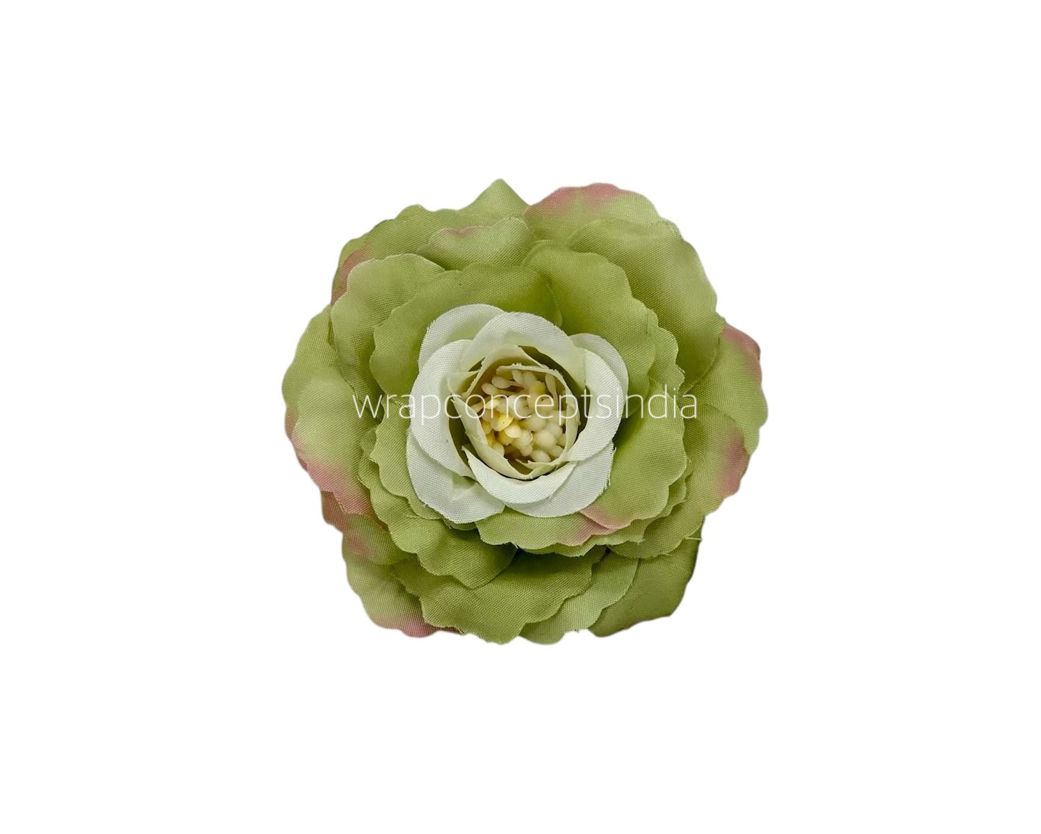 Green Open Rose Green Open Rose
