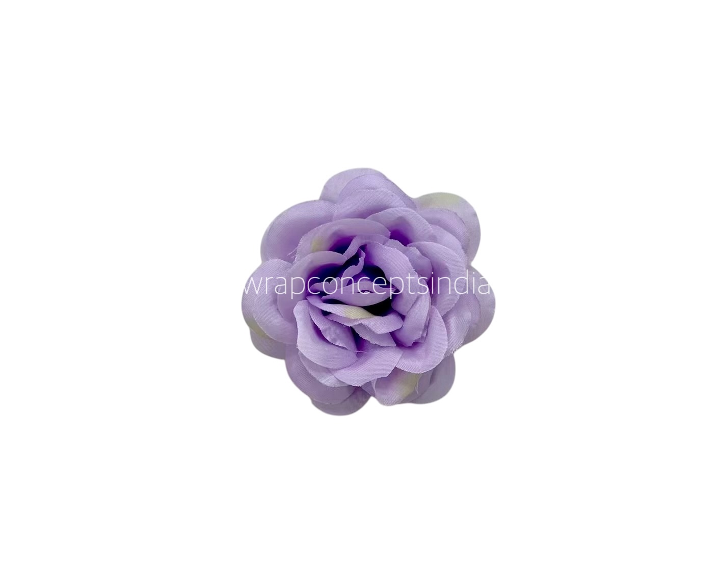 Mauve Shrub Rose Mauve Shrub Rose