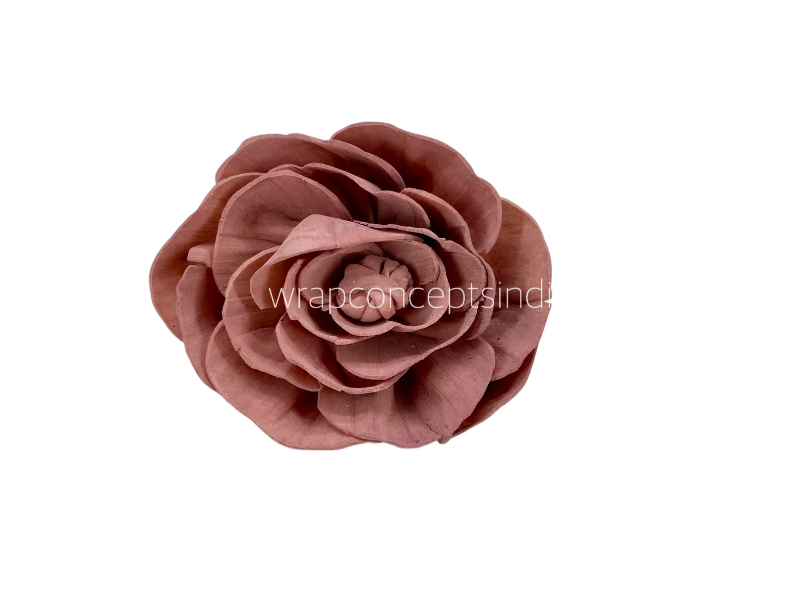 Blush Sola Wood Dear Holly Blush Sola Wood Dear Holly