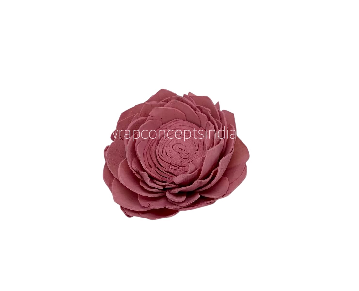 Pink Sola Wood Lotus