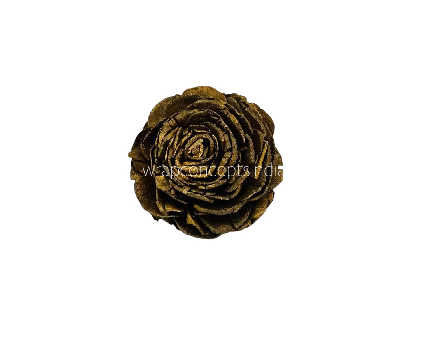 Gold Sola Wood Wesley