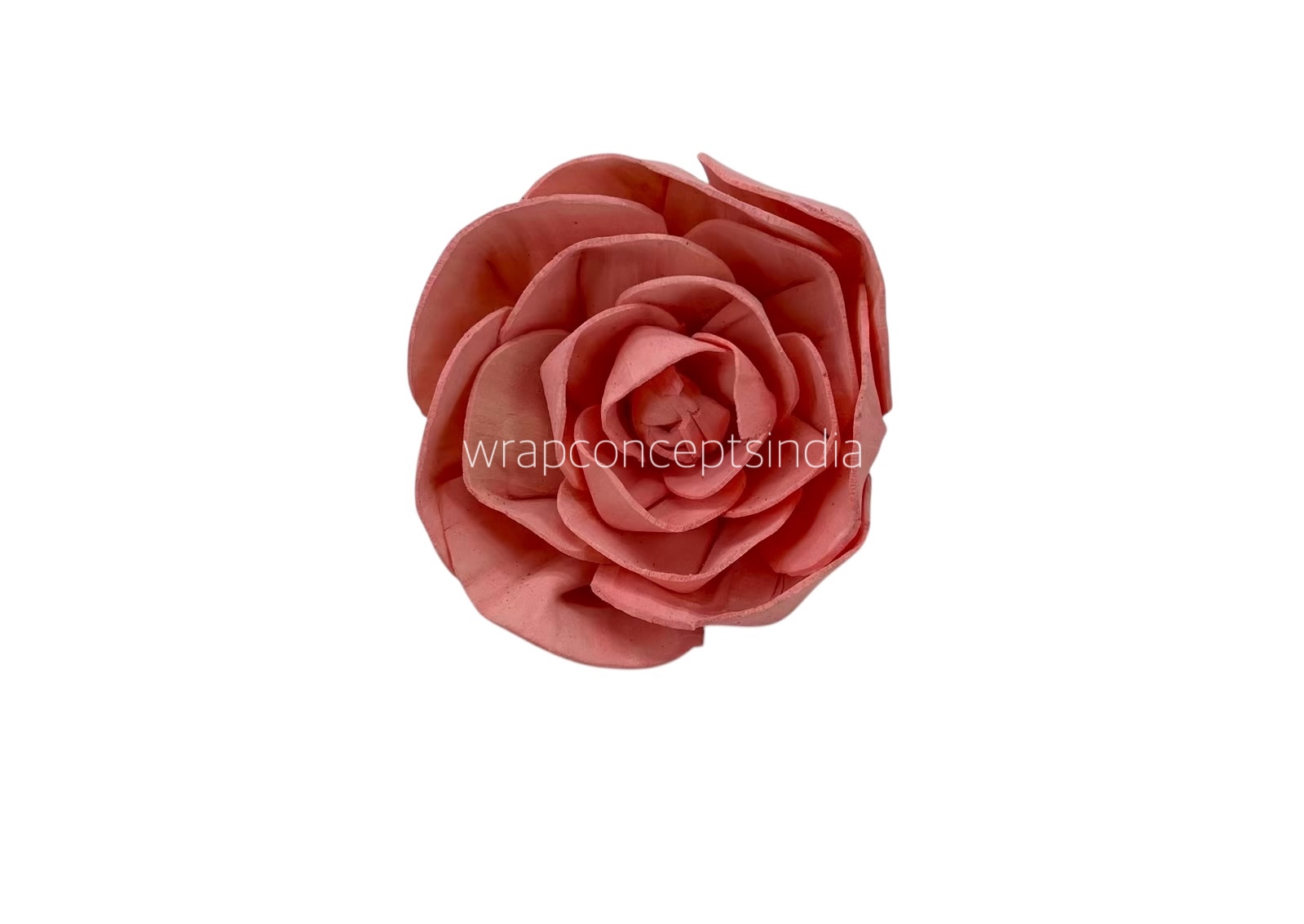 Pink Sola Wood Dear Holly