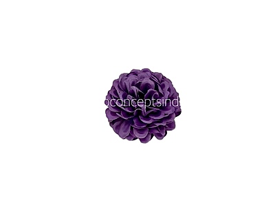 Dark Puple Green Carnation Dark Puple Green Carnation