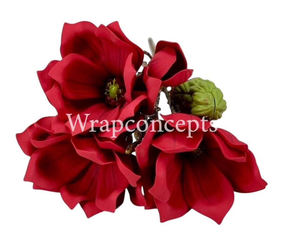 Copy of Shaded Carnation Bunch Copy of Shaded Carnation Bunch