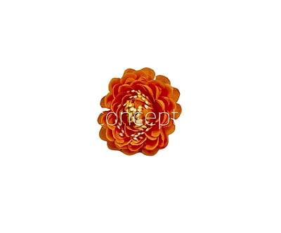 Marmalade Small Dahlias Marmalade Small Dahlias