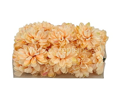 Peach Dahlias Peach Dahlias