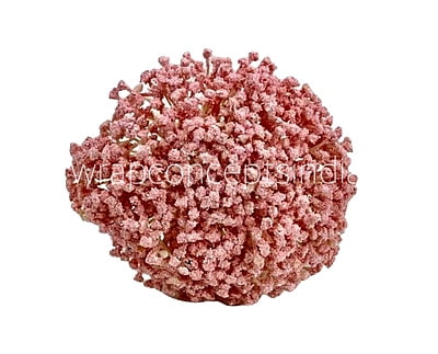 Baby Breath's Bunch