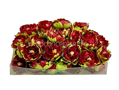 Red Peony Buds