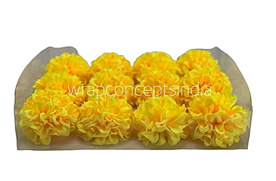 Sunshine Carnation