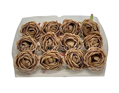 Sepia Peony Sepia Peony