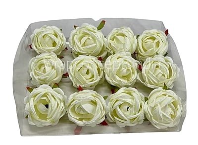 Apple Blossom Peony Apple Blossom Peony