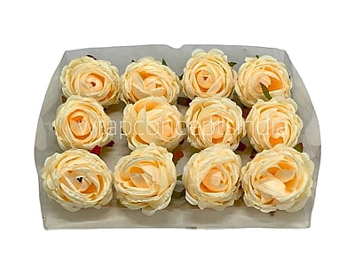 Champagne Peony Champagne Peony