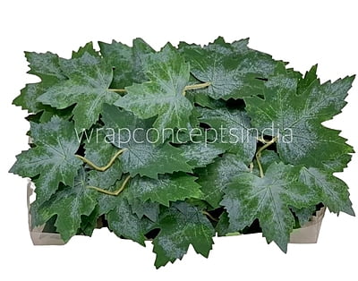 Green Maple Leaves