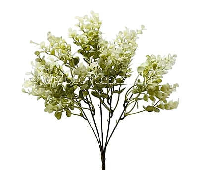 Eucalyptus Leaves Bunch - Brown/Light Green