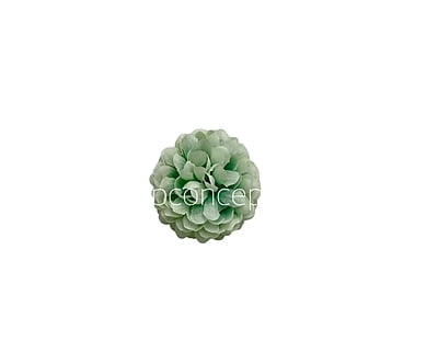 Small Carnation - Pistachio