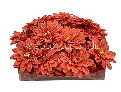 Royal Orange Dahlias