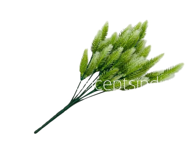 Ligh Green Fir Leaves Bunch