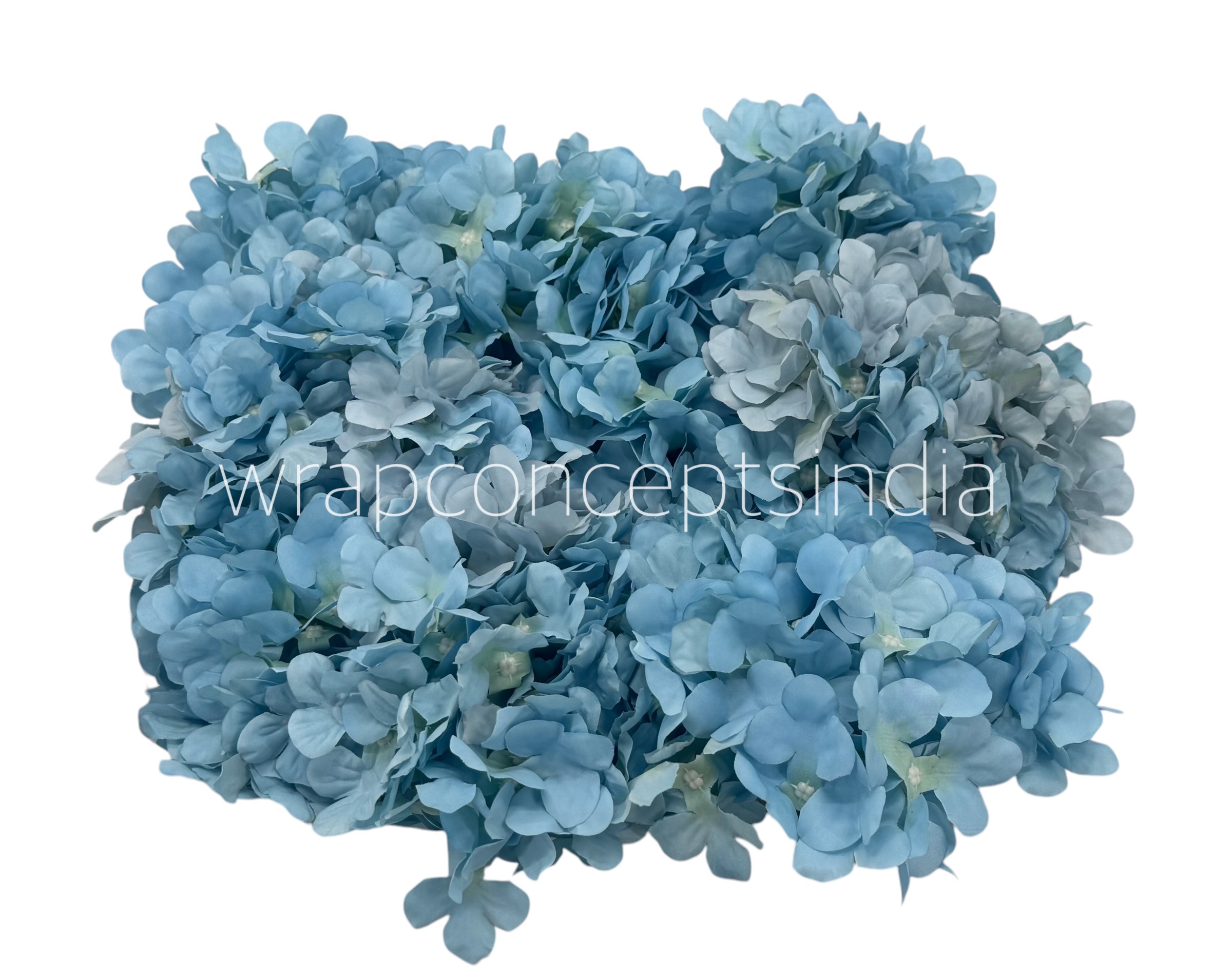 Sky Hydrangeas