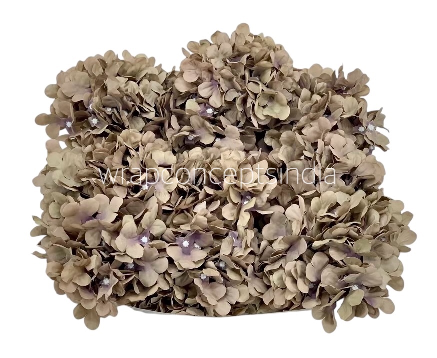 Ash Hydrangeas