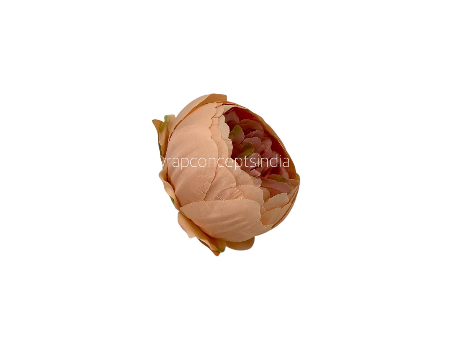 Peony- Melon with Apricot Peony- Melon with Apricot