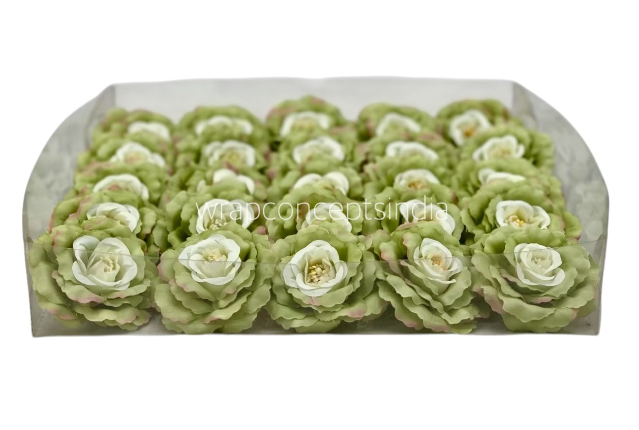 Green Open Rose Green Open Rose