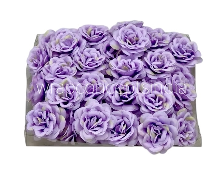 Mauve Shrub Rose Mauve Shrub Rose