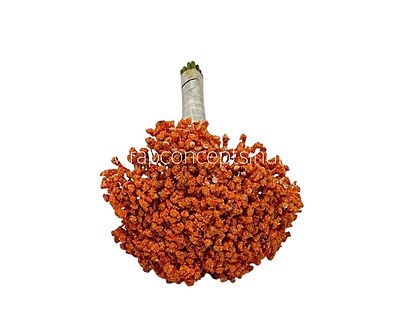 Baby Breath's Bunch Baby Breath's Bunch
