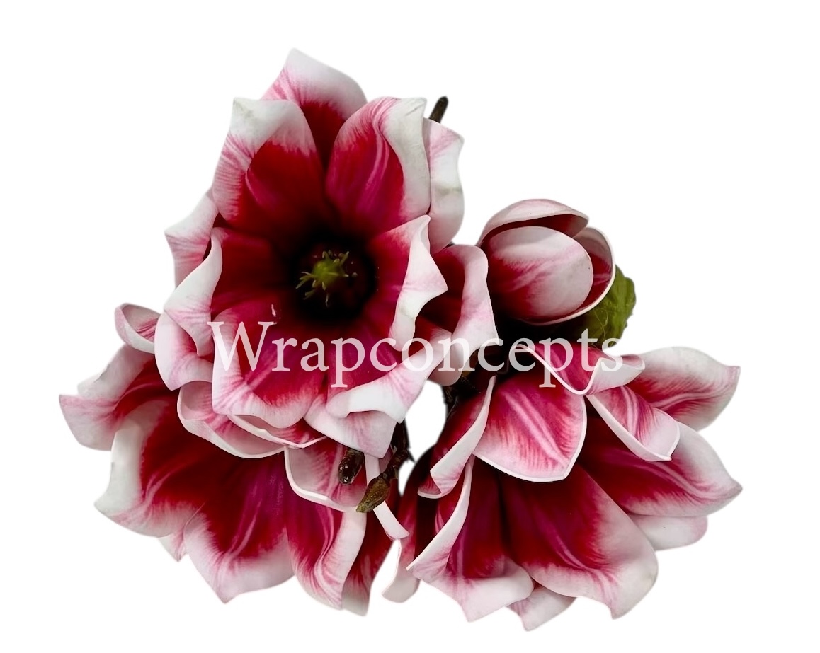 Copy of Shaded Carnation Bunch Copy of Shaded Carnation Bunch