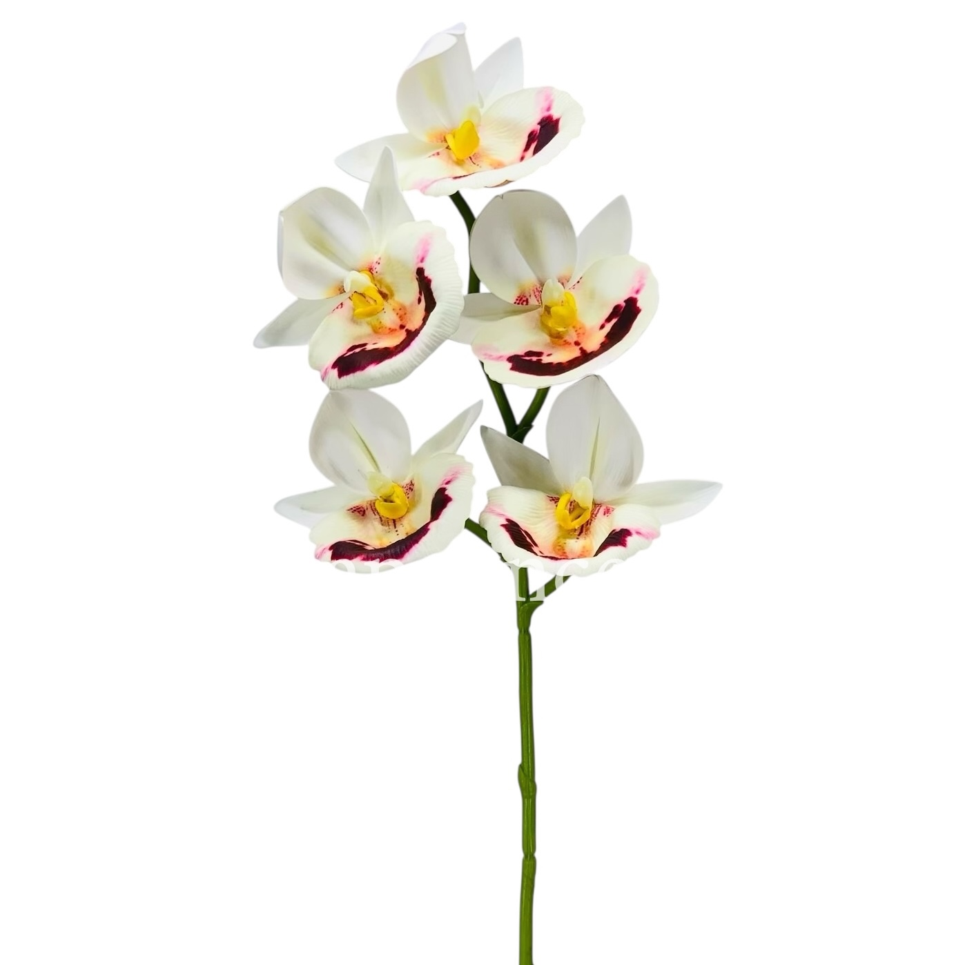 Orchid Sticks - Multicolor Orchid Sticks - Multicolor