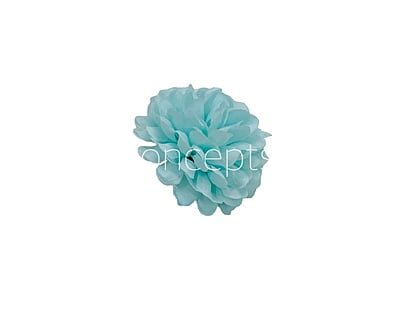 Small Carnation - Tiffany Blue