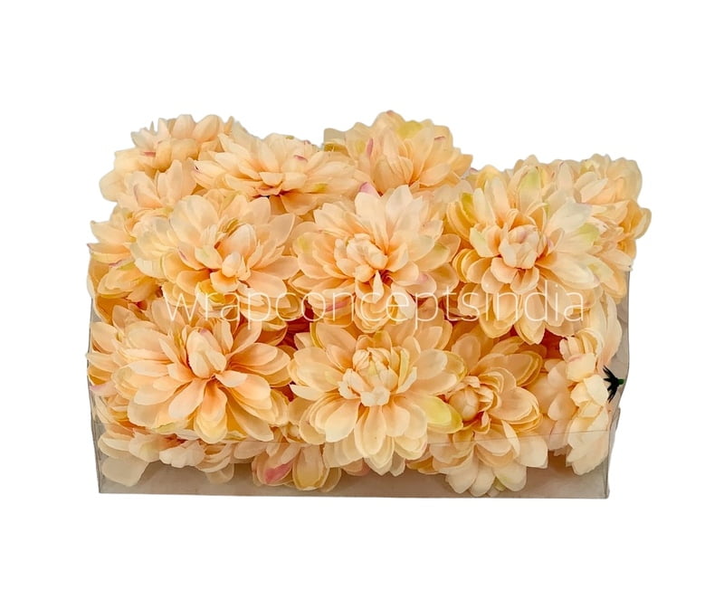 Peach Dahlias Peach Dahlias