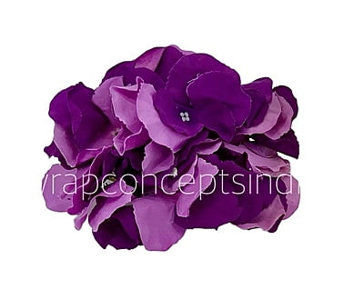 Hydrangeas - Shaded Purple Hydrangeas - Shaded Purple