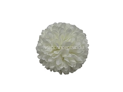 Carnation - White