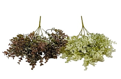 Eucalyptus Leaves Bunch - Brown/Light Green