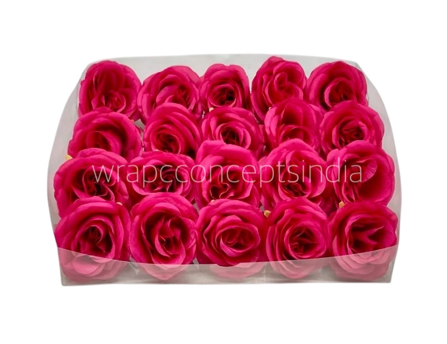 Fuchsia Roses Fuchsia Roses