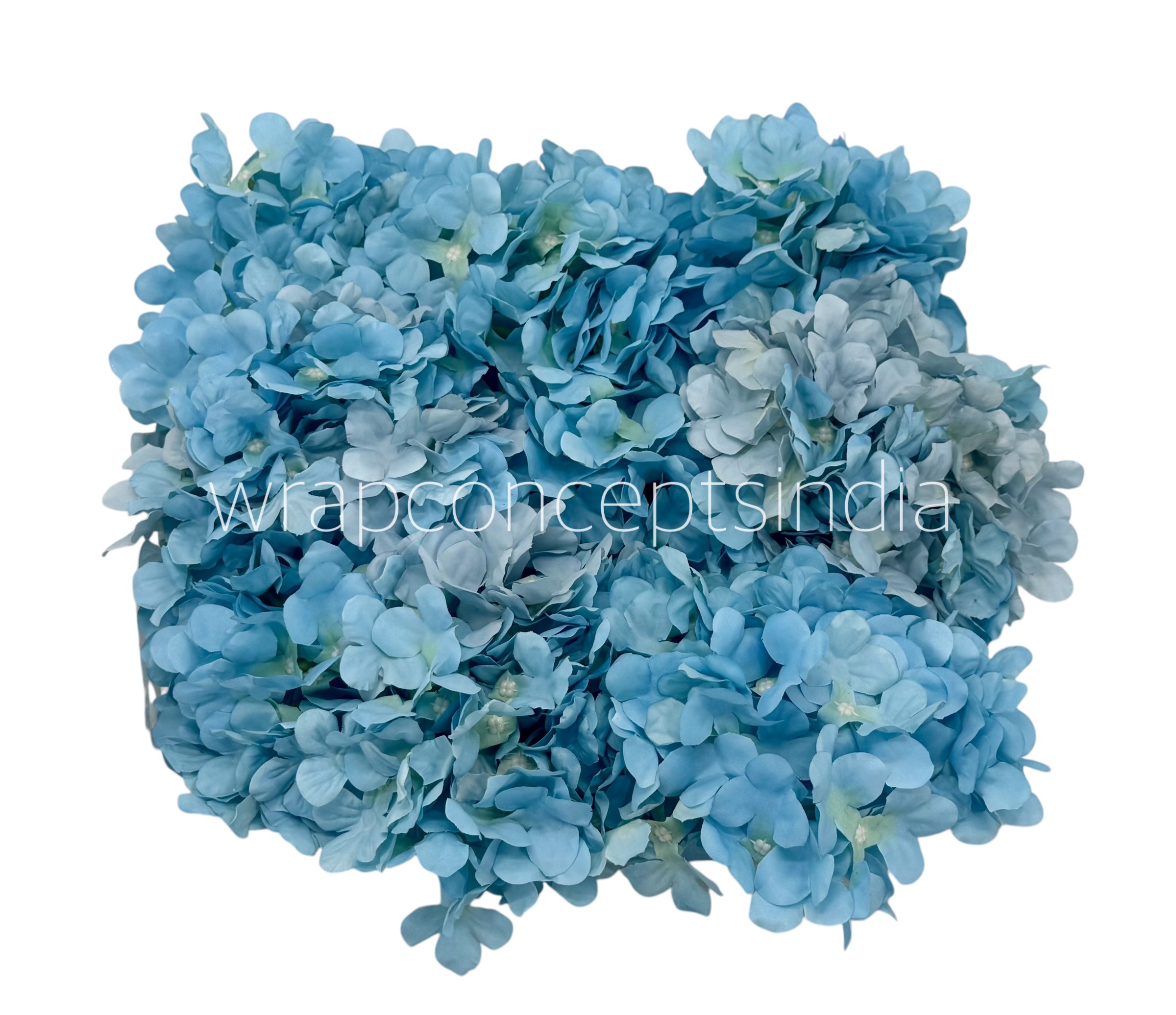 Sky Hydrangeas Sky Hydrangeas