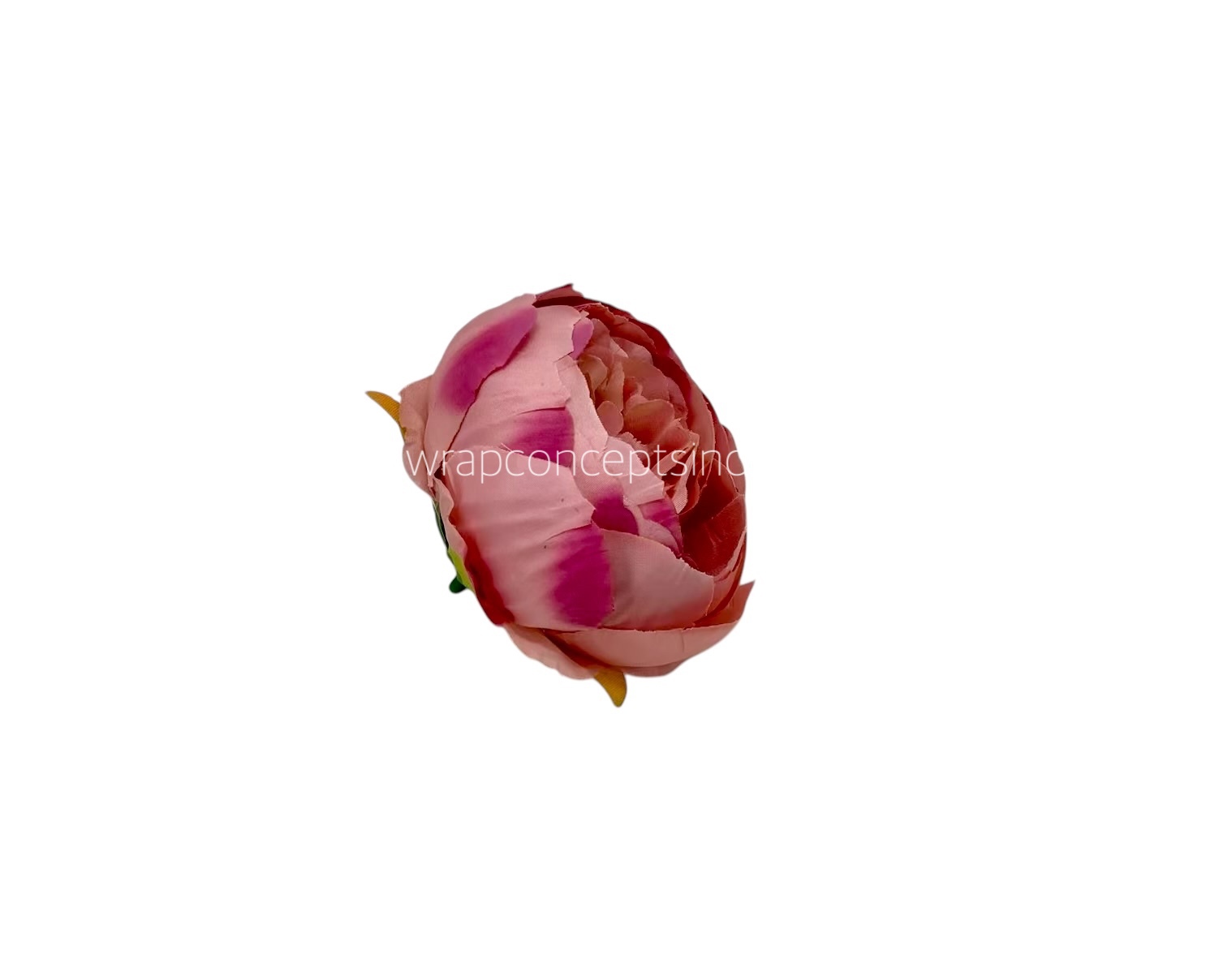 Peony - Flamingo Peony - Flamingo