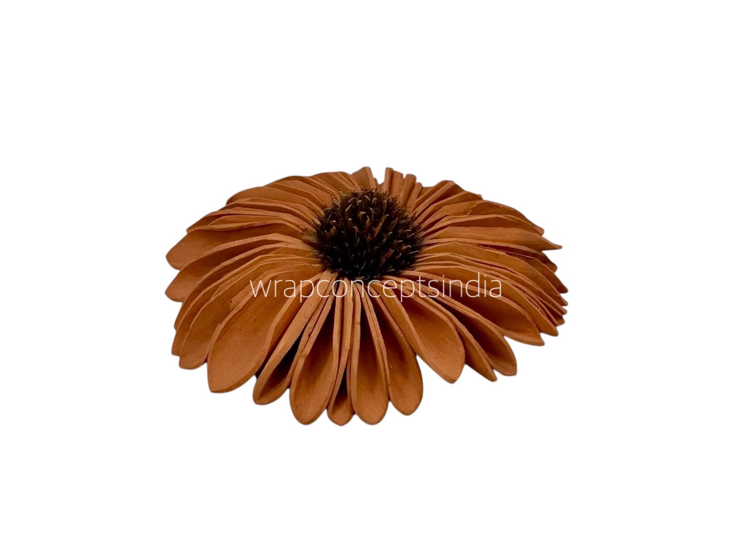 Rust Sola Wood Gerberas Rust Sola Wood Gerberas