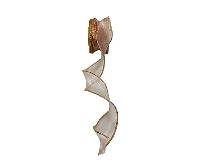 Sheer Ribbon with Gold Wired Edges