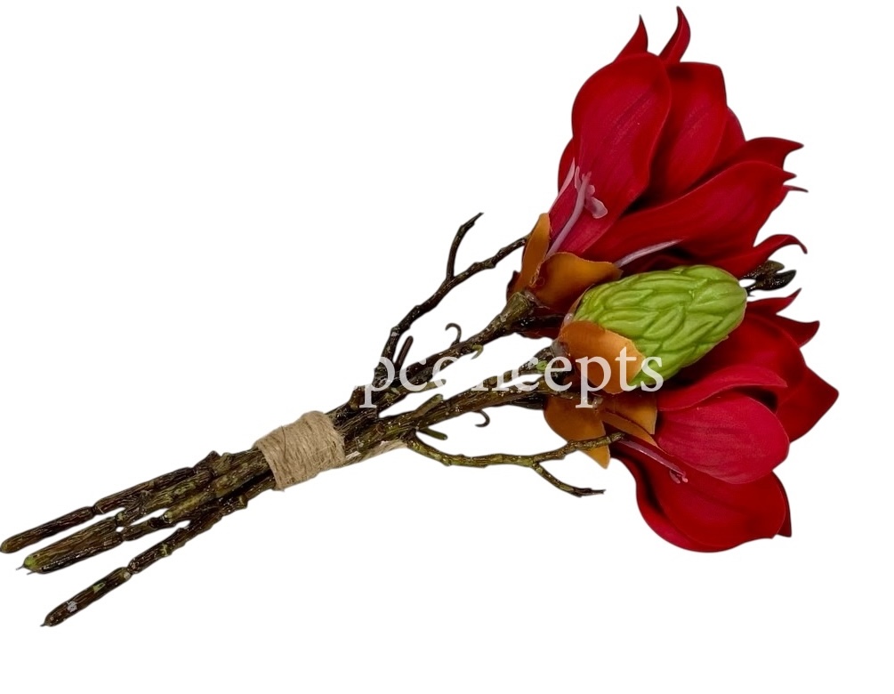 Copy of Shaded Carnation Bunch Copy of Shaded Carnation Bunch