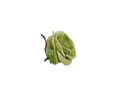 Rose-W-6191-Fuchsia Pink With Pink Shaded (10)