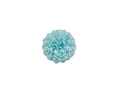 Small Carnation - Tiffany Blue