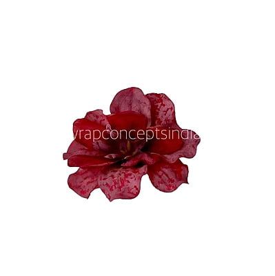 Cherry Red Textured Petunias Cherry Red Textured Petunias